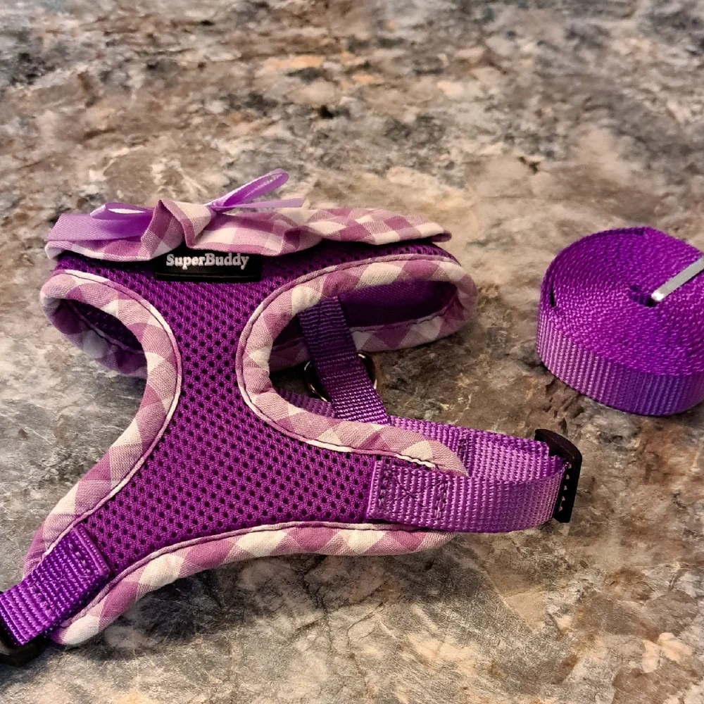 Nwt Purple Dog Harness and Leash Set